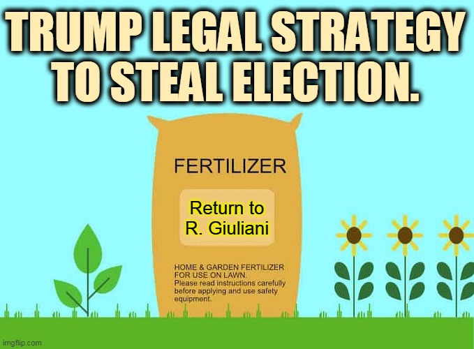 The People have spoken, and they said "Trump, Go Home!" | TRUMP LEGAL STRATEGY TO STEAL ELECTION. Return to R. Giuliani | image tagged in trump,steal,election,failure,go home | made w/ Imgflip meme maker