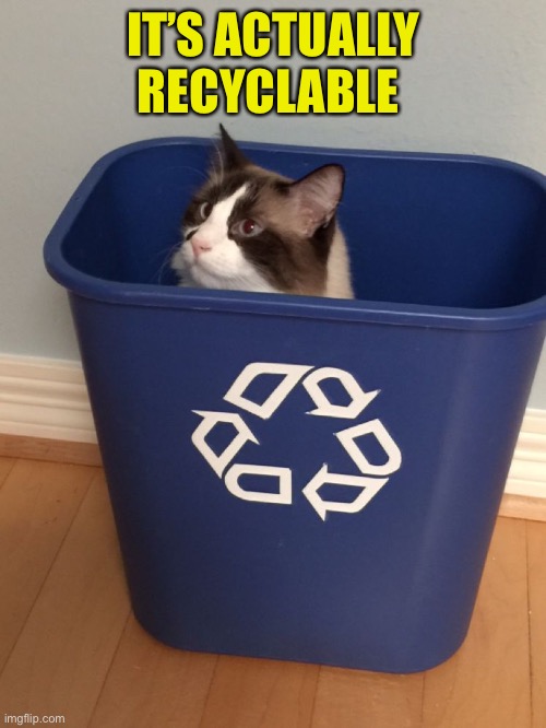 cat recycle | IT’S ACTUALLY RECYCLABLE | image tagged in cat recycle | made w/ Imgflip meme maker