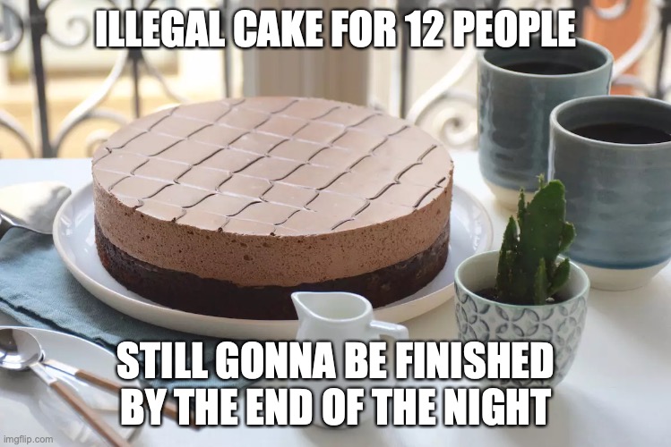 cake for life | ILLEGAL CAKE FOR 12 PEOPLE; STILL GONNA BE FINISHED BY THE END OF THE NIGHT | image tagged in cake,the cake is a lie | made w/ Imgflip meme maker