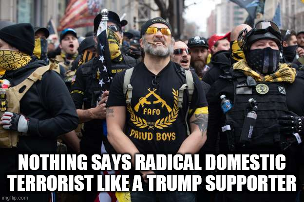 Trump supporters - Enemies of democracy | NOTHING SAYS RADICAL DOMESTIC TERRORIST LIKE A TRUMP SUPPORTER | image tagged in trump supporters,donald trump,republicans,election 2020 | made w/ Imgflip meme maker