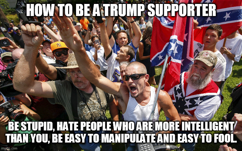 Trump supporters - The finest the confederacy has to offer | HOW TO BE A TRUMP SUPPORTER; BE STUPID, HATE PEOPLE WHO ARE MORE INTELLIGENT THAN YOU, BE EASY TO MANIPULATE AND EASY TO FOOL. | image tagged in republicans,donald trump,trump supporters,confederacy | made w/ Imgflip meme maker