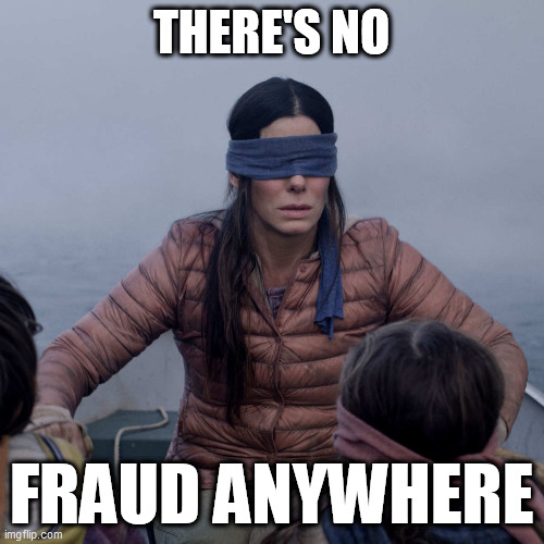 Bird Box Meme | THERE'S NO FRAUD ANYWHERE | image tagged in memes,bird box | made w/ Imgflip meme maker