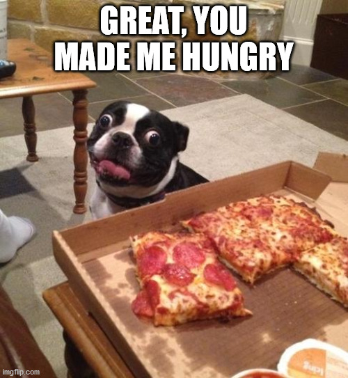 Hungry Pizza Dog | GREAT, YOU MADE ME HUNGRY | image tagged in hungry pizza dog | made w/ Imgflip meme maker