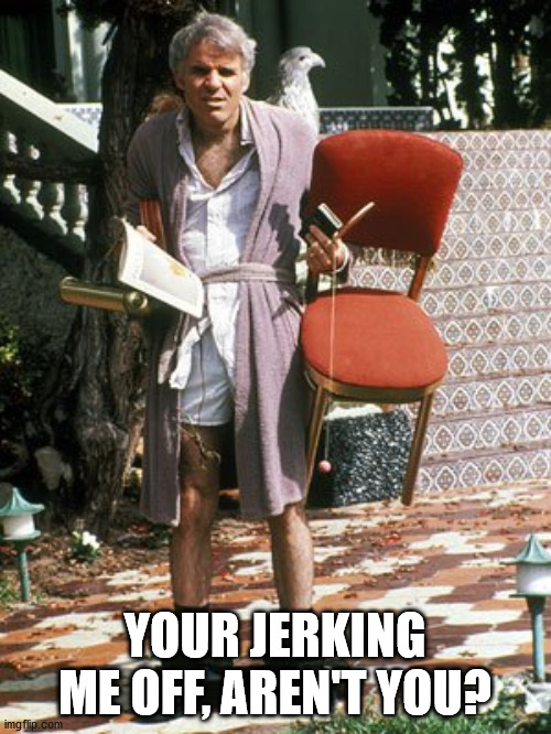 The jerk all I need | YOUR JERKING ME OFF, AREN'T YOU? | image tagged in the jerk all i need | made w/ Imgflip meme maker