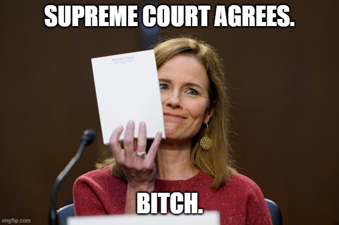 Amy Comey Barrett | SUPREME COURT AGREES. BITCH. | image tagged in amy comey barrett | made w/ Imgflip meme maker