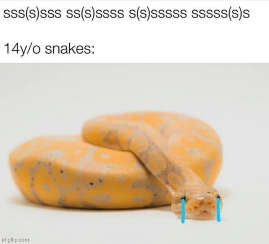 I'm a snek and this is deeper than my lung sac | image tagged in ssssss | made w/ Imgflip meme maker