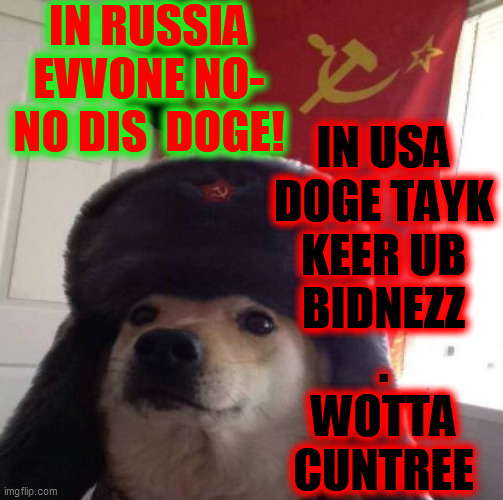 Russian Doge | IN RUSSIA
EVVONE NO-
NO DIS  DOGE! IN USA
DOGE TAYK
KEER UB
BIDNEZZ
.
WOTTA
CUNTREE | image tagged in russian doge | made w/ Imgflip meme maker