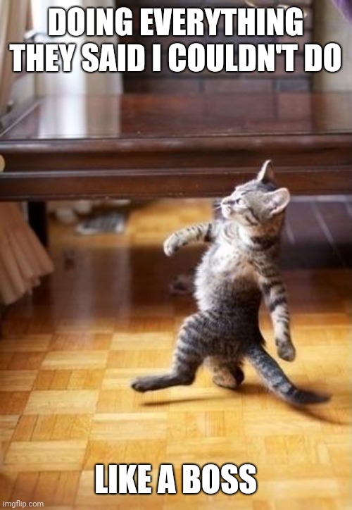 Cool Cat Stroll Meme | DOING EVERYTHING THEY SAID I COULDN'T DO; LIKE A BOSS | image tagged in memes,cool cat stroll | made w/ Imgflip meme maker