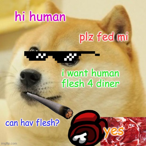 Doge | hi human; plz fed mi; i want human flesh 4 diner; can hav flesh? yes | image tagged in memes,doge | made w/ Imgflip meme maker