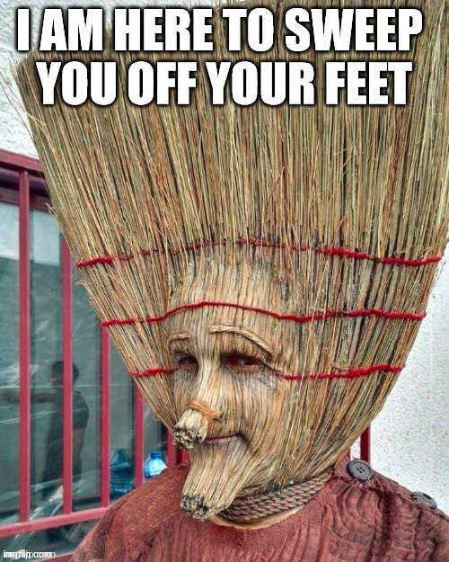 Long way to go for a pickup line. | I AM HERE TO SWEEP 
YOU OFF YOUR FEET | made w/ Imgflip meme maker