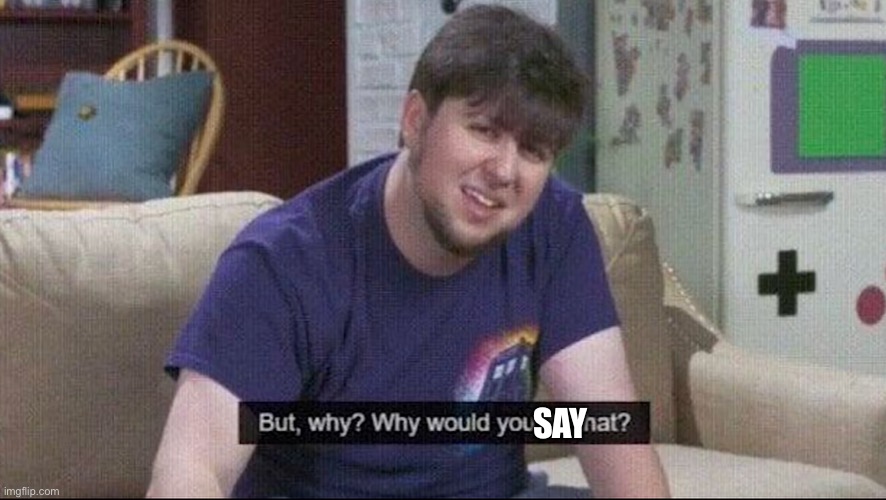 But why why would you do that? | SAY | image tagged in but why why would you do that | made w/ Imgflip meme maker