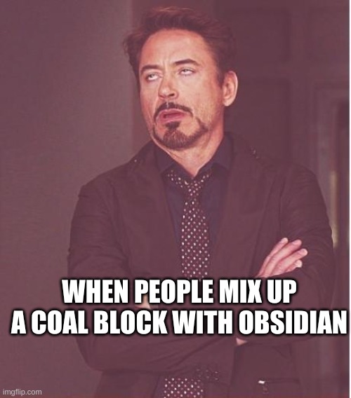 Face You Make Robert Downey Jr Meme | WHEN PEOPLE MIX UP A COAL BLOCK WITH OBSIDIAN | image tagged in memes,face you make robert downey jr | made w/ Imgflip meme maker