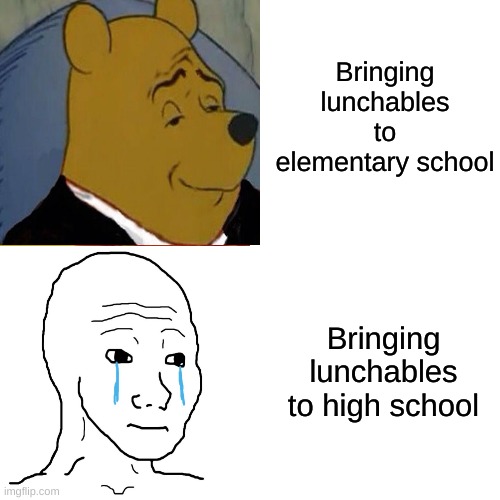 Sad boi lunch | Bringing lunchables to elementary school; Bringing lunchables to high school | image tagged in memes | made w/ Imgflip meme maker