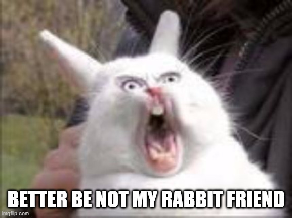 Hungry Rabbit | BETTER BE NOT MY RABBIT FRIEND | image tagged in hungry rabbit | made w/ Imgflip meme maker