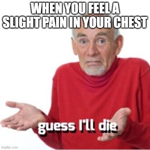 oh well |  WHEN YOU FEEL A SLIGHT PAIN IN YOUR CHEST | image tagged in guess i'll die | made w/ Imgflip meme maker