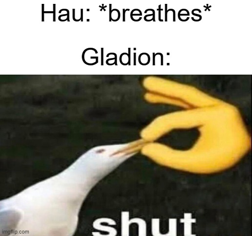Hau: *breathes*; Gladion: | image tagged in blank white template,pokemon sun and moon,shut | made w/ Imgflip meme maker