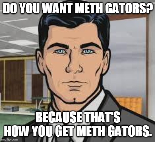 Do you want ants archer | DO YOU WANT METH GATORS? BECAUSE THAT'S HOW YOU GET METH GATORS. | image tagged in do you want ants archer | made w/ Imgflip meme maker