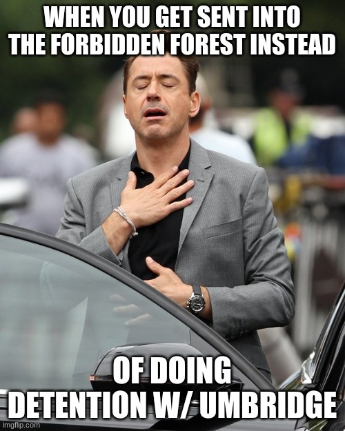 Relief | WHEN YOU GET SENT INTO THE FORBIDDEN FOREST INSTEAD OF DOING DETENTION W/ UMBRIDGE | image tagged in relief | made w/ Imgflip meme maker