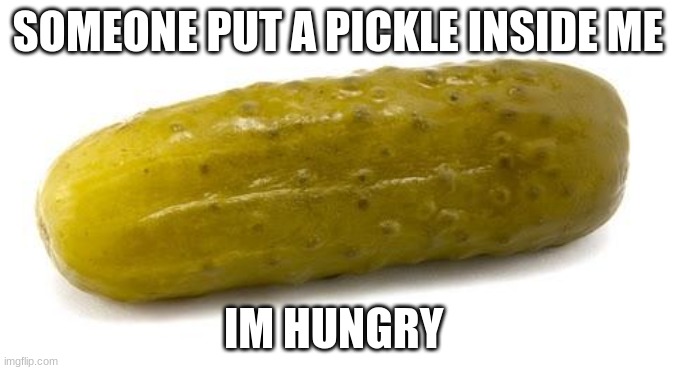 fed me pls i want pickles | SOMEONE PUT A PICKLE INSIDE ME; IM HUNGRY | image tagged in pickle | made w/ Imgflip meme maker