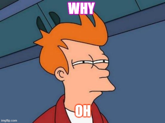 me | WHY; OH | image tagged in memes,futurama fry | made w/ Imgflip meme maker