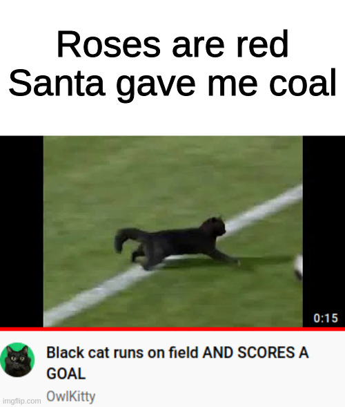Da kat is poetik | Roses are red
Santa gave me coal | image tagged in cats,youtube,roses are red,black cat,memes,doodle | made w/ Imgflip meme maker
