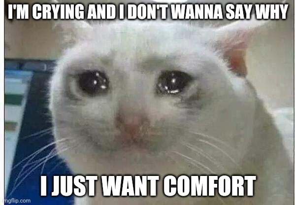 crying cat | I'M CRYING AND I DON'T WANNA SAY WHY; I JUST WANT COMFORT | image tagged in crying cat | made w/ Imgflip meme maker