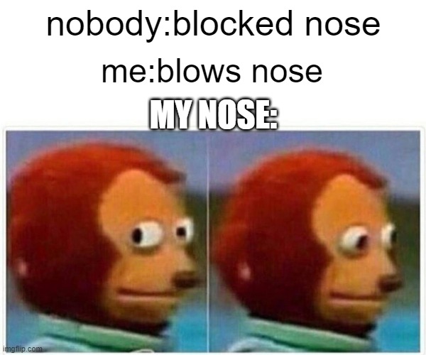 Monkey Puppet | nobody:blocked nose; me:blows nose; MY NOSE: | image tagged in memes,monkey puppet | made w/ Imgflip meme maker