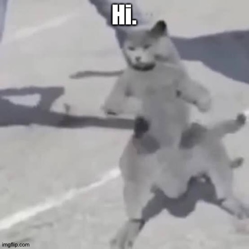 . | Hi. | image tagged in cat nae nae | made w/ Imgflip meme maker