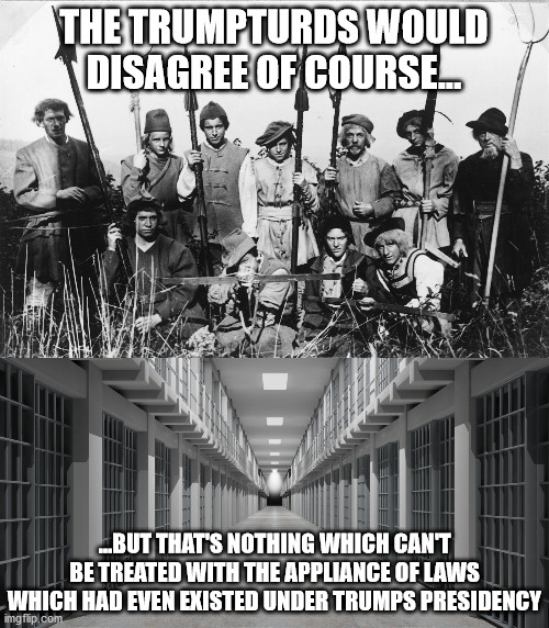 THE TRUMPTURDS WOULD DISAGREE OF COURSE... ...BUT THAT'S NOTHING WHICH CAN'T BE TREATED WITH THE APPLIANCE OF LAWS WHICH HAD EVEN EXISTED UN | made w/ Imgflip meme maker