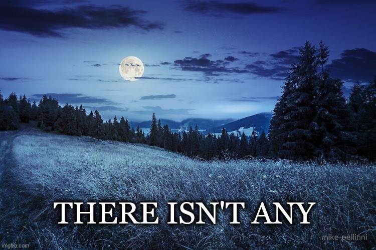 Meadow | THERE ISN'T ANY | image tagged in meadow | made w/ Imgflip meme maker