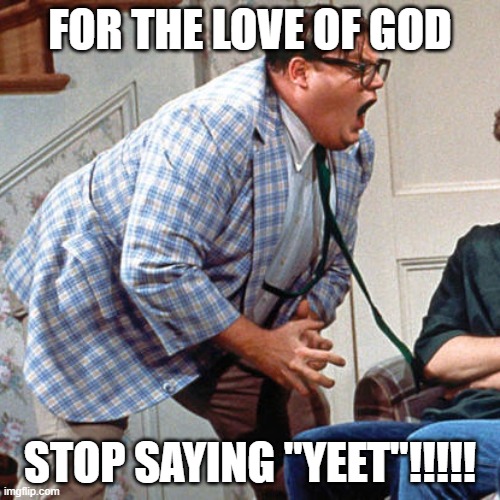 STUPIDEST F'IN "WORD" EVER! | FOR THE LOVE OF GOD; STOP SAYING "YEET"!!!!! | image tagged in chris farley for the love of god,yeet,stop it | made w/ Imgflip meme maker