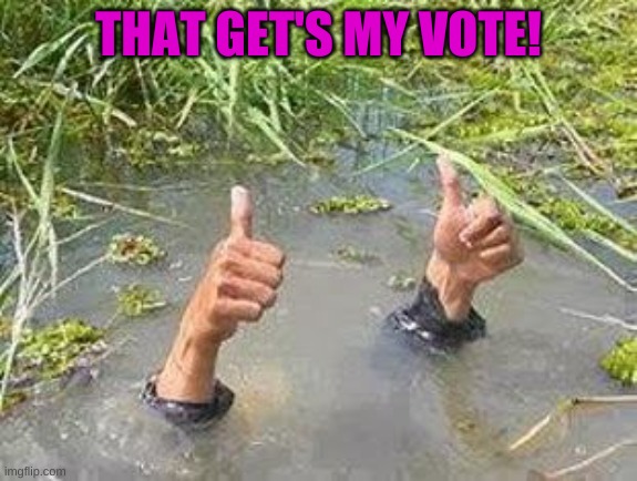 FLOODING THUMBS UP | THAT GET'S MY VOTE! | image tagged in flooding thumbs up | made w/ Imgflip meme maker