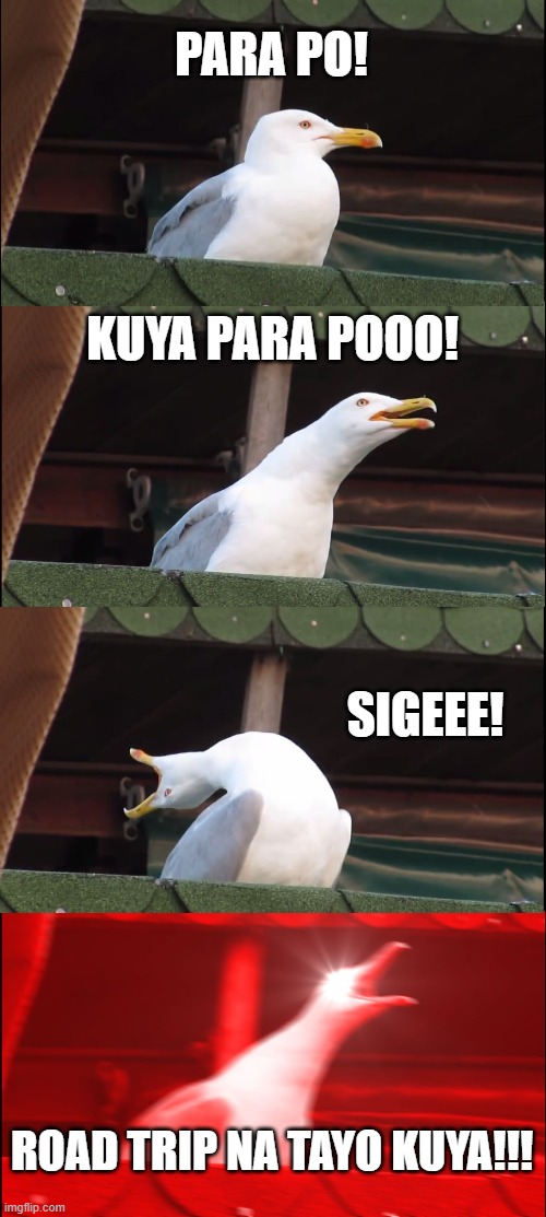 hatdawg | PARA PO! KUYA PARA POOO! SIGEEE! ROAD TRIP NA TAYO KUYA!!! | image tagged in memes,inhaling seagull | made w/ Imgflip meme maker