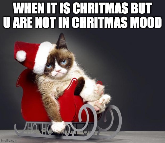 big oof | WHEN IT IS CHRITMAS BUT U ARE NOT IN CHRITMAS MOOD | image tagged in grumpy cat christmas hd | made w/ Imgflip meme maker