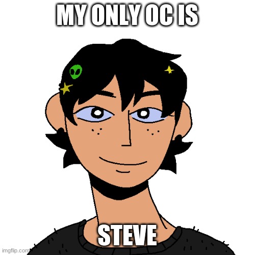 OC steve | MY ONLY OC IS STEVE | image tagged in oc steve | made w/ Imgflip meme maker