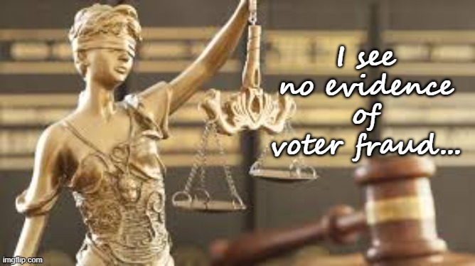 No evidence | I see no evidence of voter fraud... | image tagged in election 2020 | made w/ Imgflip meme maker