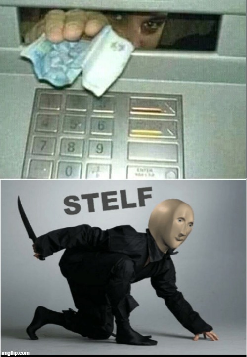 stelf | image tagged in stelf | made w/ Imgflip meme maker