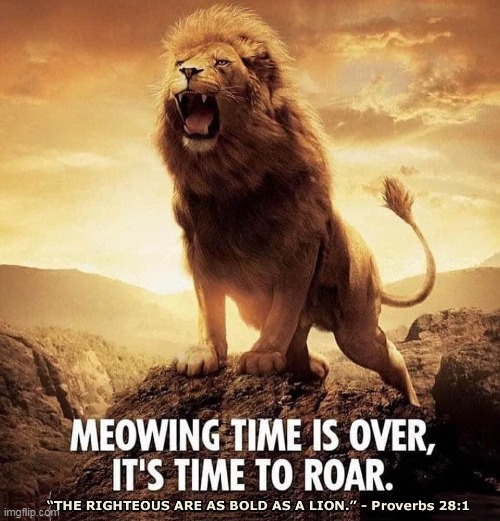 TIme to Roar | image tagged in proverbs 28 1,lion,righteous are as bold as a lion,boldness,roar | made w/ Imgflip meme maker