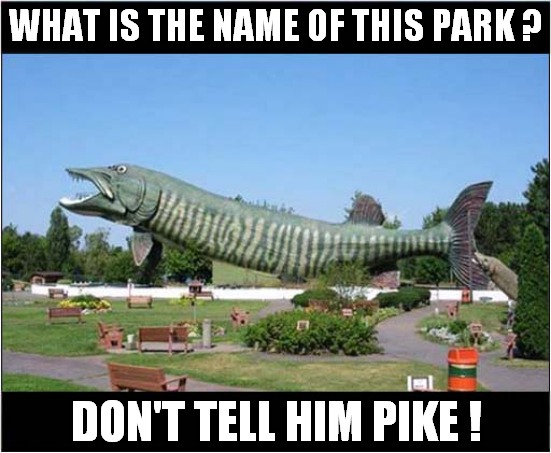 What Is Your Name ? | WHAT IS THE NAME OF THIS PARK ? DON'T TELL HIM PIKE ! | image tagged in fun,dad's army,frontpage | made w/ Imgflip meme maker