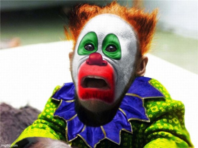 Circus Monkey | image tagged in circus monkey | made w/ Imgflip meme maker