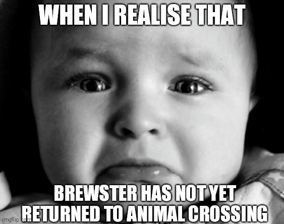 Sad Baby Meme | WHEN I REALISE THAT; BREWSTER HAS NOT YET RETURNED TO ANIMAL CROSSING | image tagged in memes,sad baby,animal crossing,sadness | made w/ Imgflip meme maker