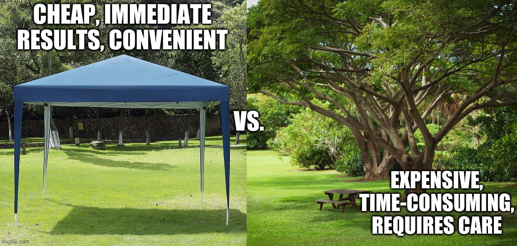 Convenience vs the future | CHEAP, IMMEDIATE RESULTS, CONVENIENT; VS. EXPENSIVE, TIME-CONSUMING, REQUIRES CARE | image tagged in wisdom,tree,modern world,self-gratification | made w/ Imgflip meme maker