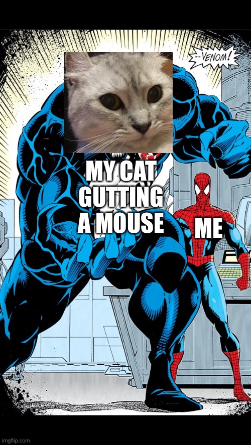 Cat and mouse | MY CAT GUTTING A MOUSE; ME | image tagged in venom with spider-man | made w/ Imgflip meme maker