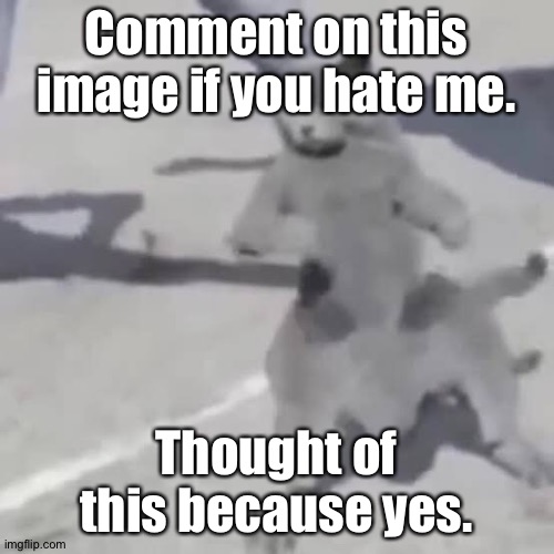 . | Comment on this image if you hate me. Thought of this because yes. | image tagged in cat nae nae | made w/ Imgflip meme maker