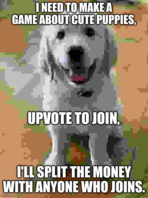 Plz help | I NEED TO MAKE A GAME ABOUT CUTE PUPPIES, UPVOTE TO JOIN, I'LL SPLIT THE MONEY WITH ANYONE WHO JOINS. | image tagged in marvel the golden retriever | made w/ Imgflip meme maker