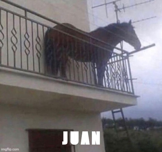 Juan | J U A N | image tagged in juan | made w/ Imgflip meme maker