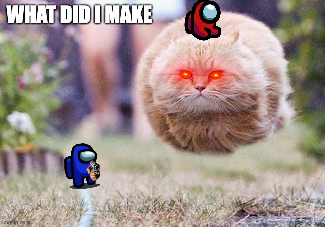 What did I make | WHAT DID I MAKE | image tagged in hoverboard,cats | made w/ Imgflip meme maker