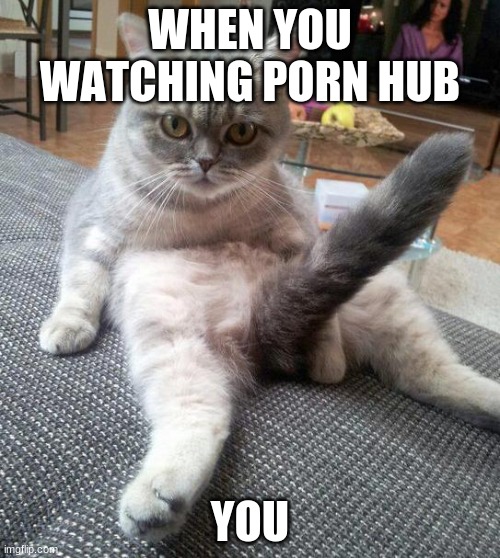 Sexy Cat Meme | WHEN YOU WATCHING PORN HUB; YOU | image tagged in memes,sexy cat | made w/ Imgflip meme maker