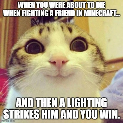 Smiling Cat | WHEN YOU WERE ABOUT TO DIE WHEN FIGHTING A FRIEND IN MINECRAFT... AND THEN A LIGHTING STRIKES HIM AND YOU WIN. | image tagged in memes,smiling cat | made w/ Imgflip meme maker