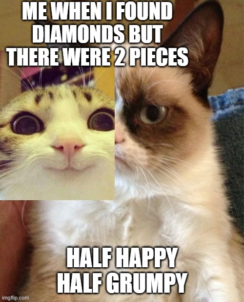 Grumpy Cat | ME WHEN I FOUND DIAMONDS BUT THERE WERE 2 PIECES; HALF HAPPY HALF GRUMPY | image tagged in memes,grumpy cat | made w/ Imgflip meme maker